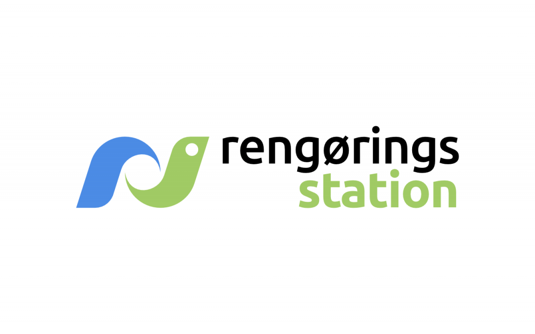 Rengøringsstation